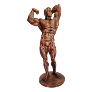 Estátua - Arnold Schwarzenegger - Bronze - 27cm