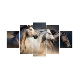 Kit 5 Quadros Decorativos - Cavalos