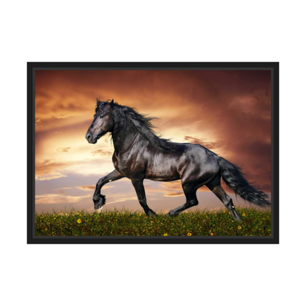 Quadro Decorativo com Moldura - Cavalo - 68x48cm